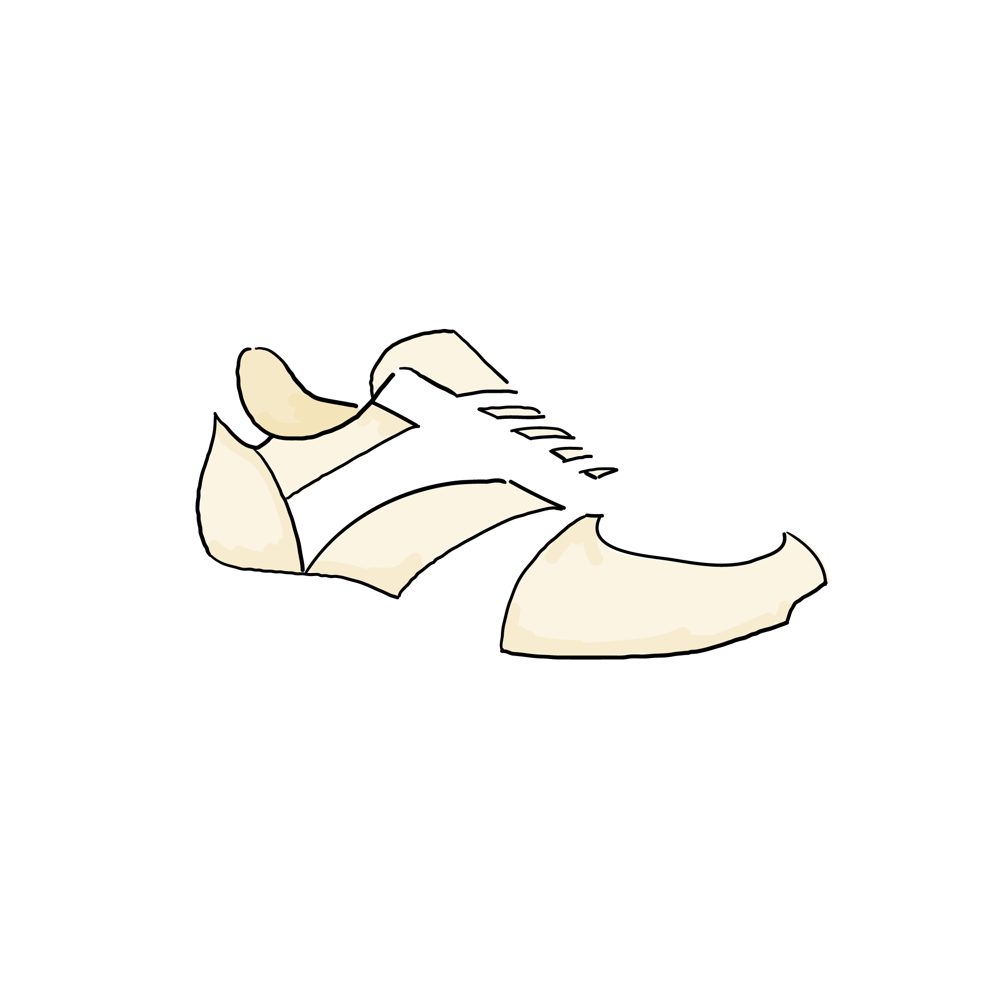 Item-RGB-Trainer-sections_Base C